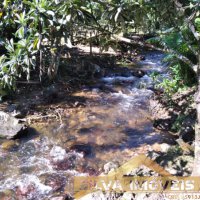 Propriedade Rural em Tr�s Barras