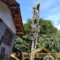Propriedade Rural em Tr�s Barras