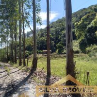 Propriedade Rural em Tr�s Barras
