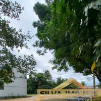 TERRENO COM GALP�O 