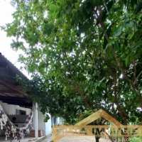 TERRENO COM GALP�O 