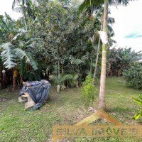 CASA COM AMPLO ESPA�O EXTERNO.