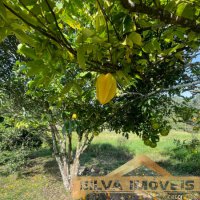 �rea Rural em Canelinha
